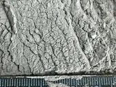 Алюминий сферический дисперсный марка АСД-1 порошок 30мкм
