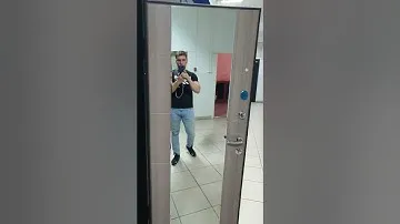 Входная дверь с зеркалом Эверест Сандал