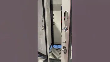 Дверь входная с зеркалом